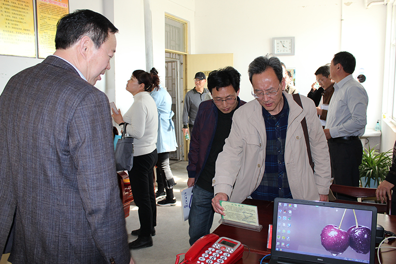 砀山县商务招商局