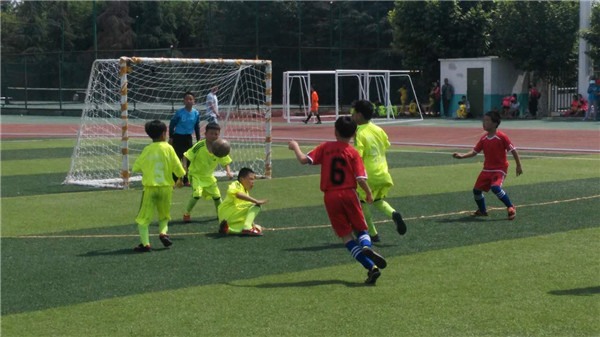 砀山县教育体育局