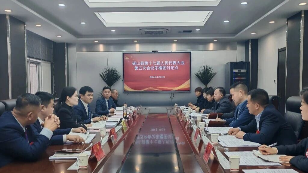 朱新华参加县十七届人大五次会议朱楼团分组讨论