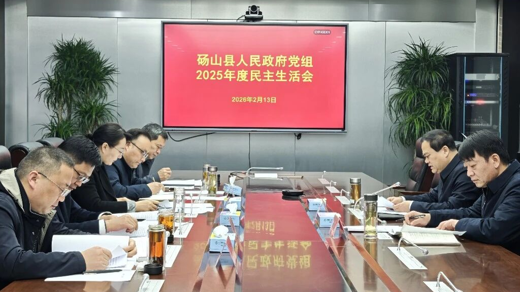 县政府党组召开2025年度民主生活会