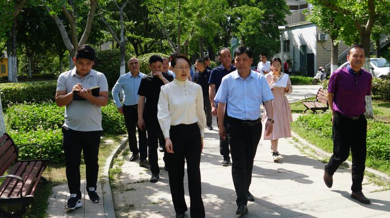 陈莉调研我县文明城市创建工作