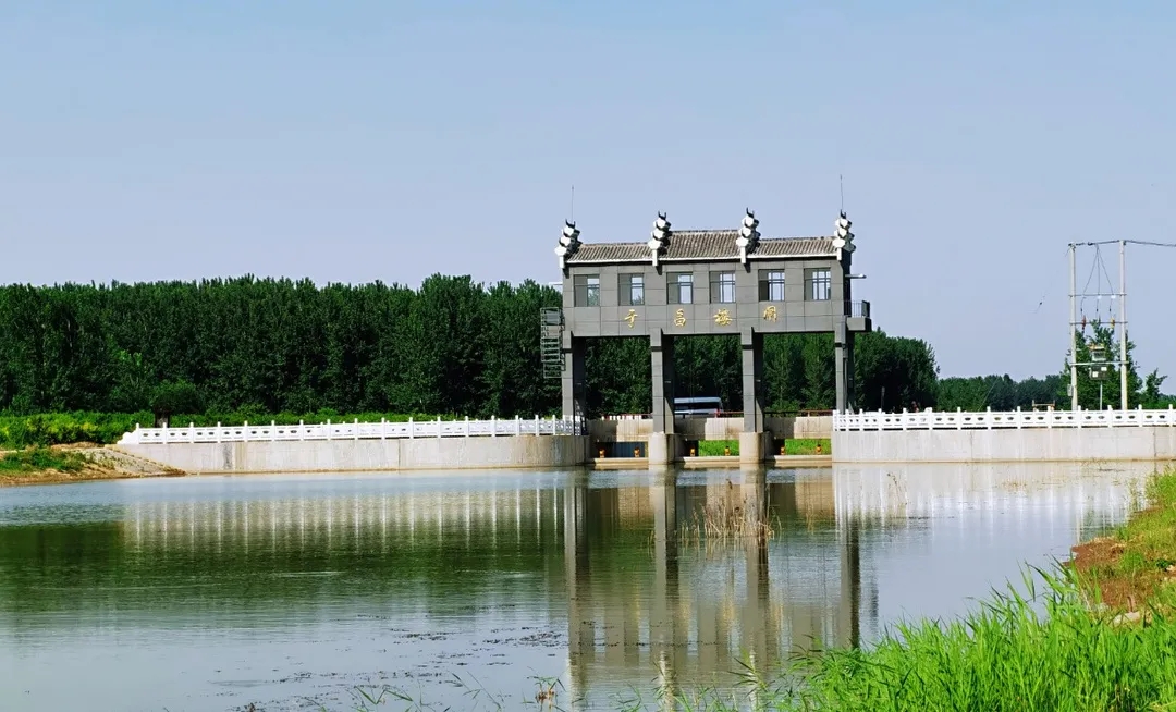 工作推进及成效砀山县周寨镇生态立镇打造水韵周寨新名片