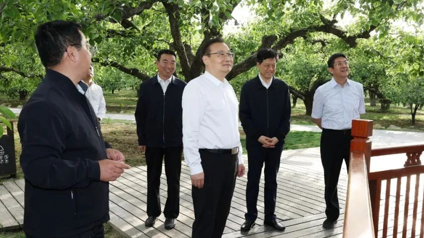 梁言顺在砀山县调研时强调 立足资源禀赋壮大特色产业 加快皖北地区全面振兴步伐